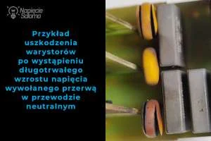 Uszkodzone warystory po przerwaniu przewodu neutralnego Uszkodzone warystory ogranicznika przepięć po długotrwałym wzroście napięcia wywołanym przerwą w przewodzie neutralnym