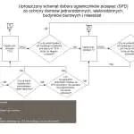 Uproszczony schemat doboru SPD czyli ograniczników przepięć Uproszczony schemat doboru ograniczników przepięć