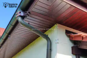 Jak skutecznie pozbyć się kuny?