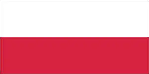 Język Polski Polskojęzyczna wersja artykułu